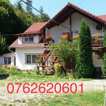 Cîrţişoara Casa Trandafirilor酒店 外观 照片